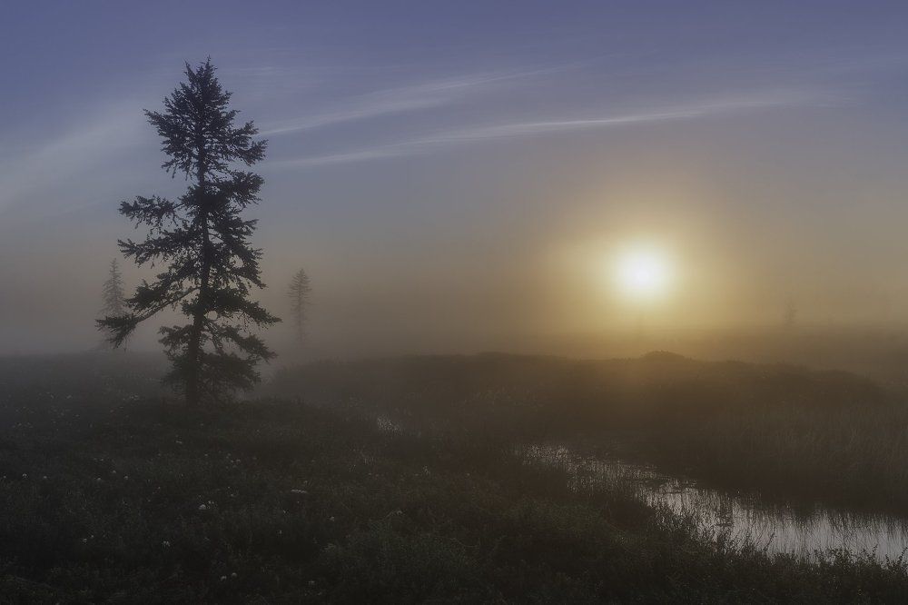 "Утренний рассвет"