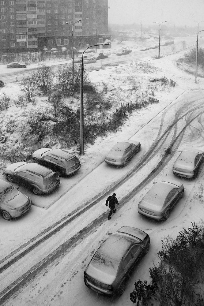 По первому снегу