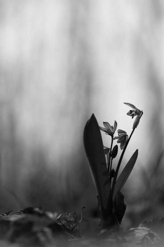 Tarasova Marina, Russia