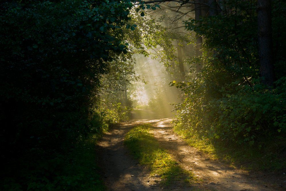 Путь к свету