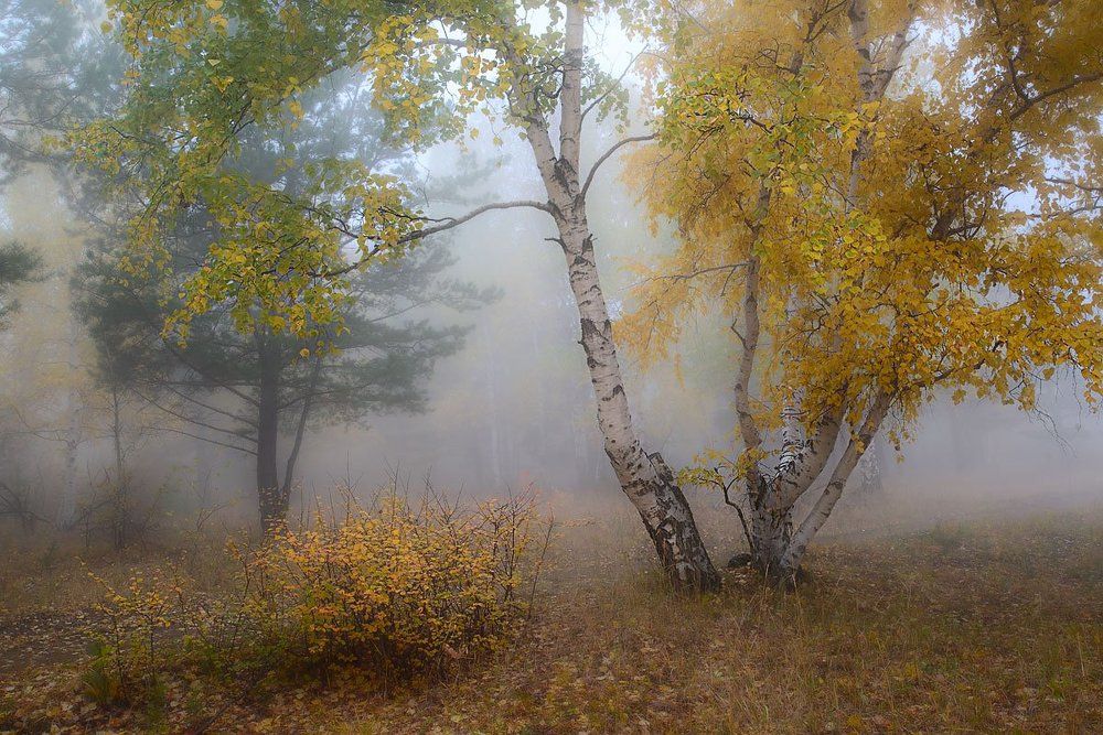 Осеннее утро