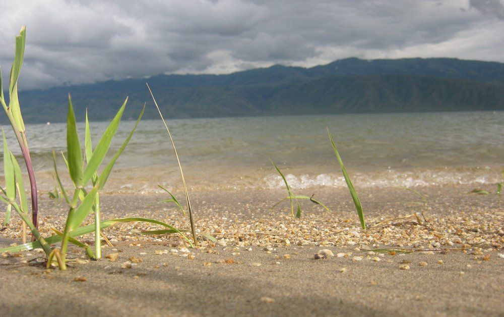 Мое  Искусство