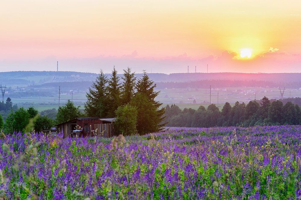 Пермский прованс