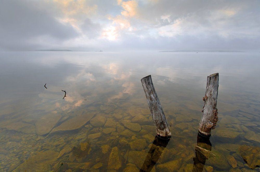 На утренней зорьке