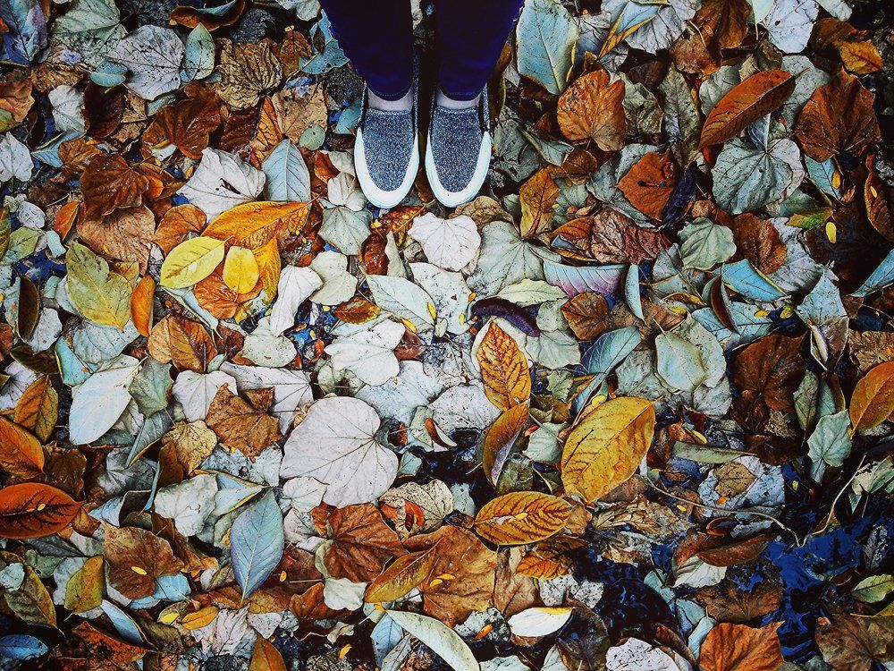 Краски осени