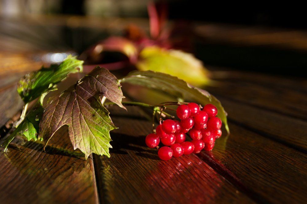 вот и осень пришла