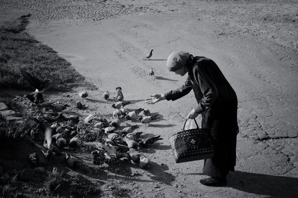 церковные голуби