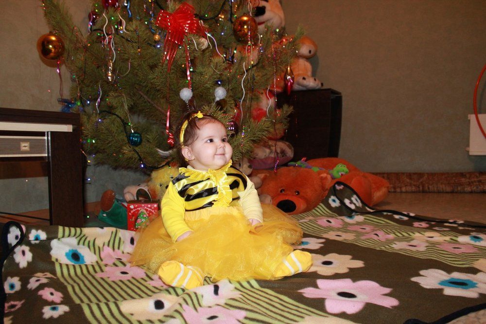 лето под елкой