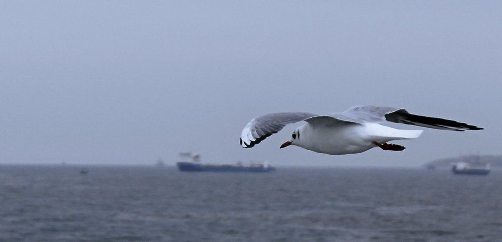 Photograph by Денис