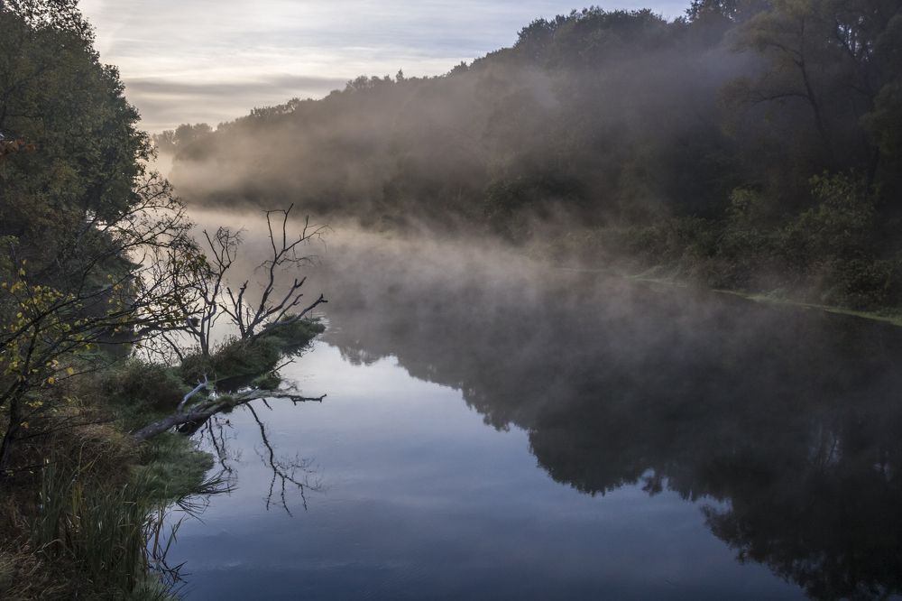 Туманный рассвет