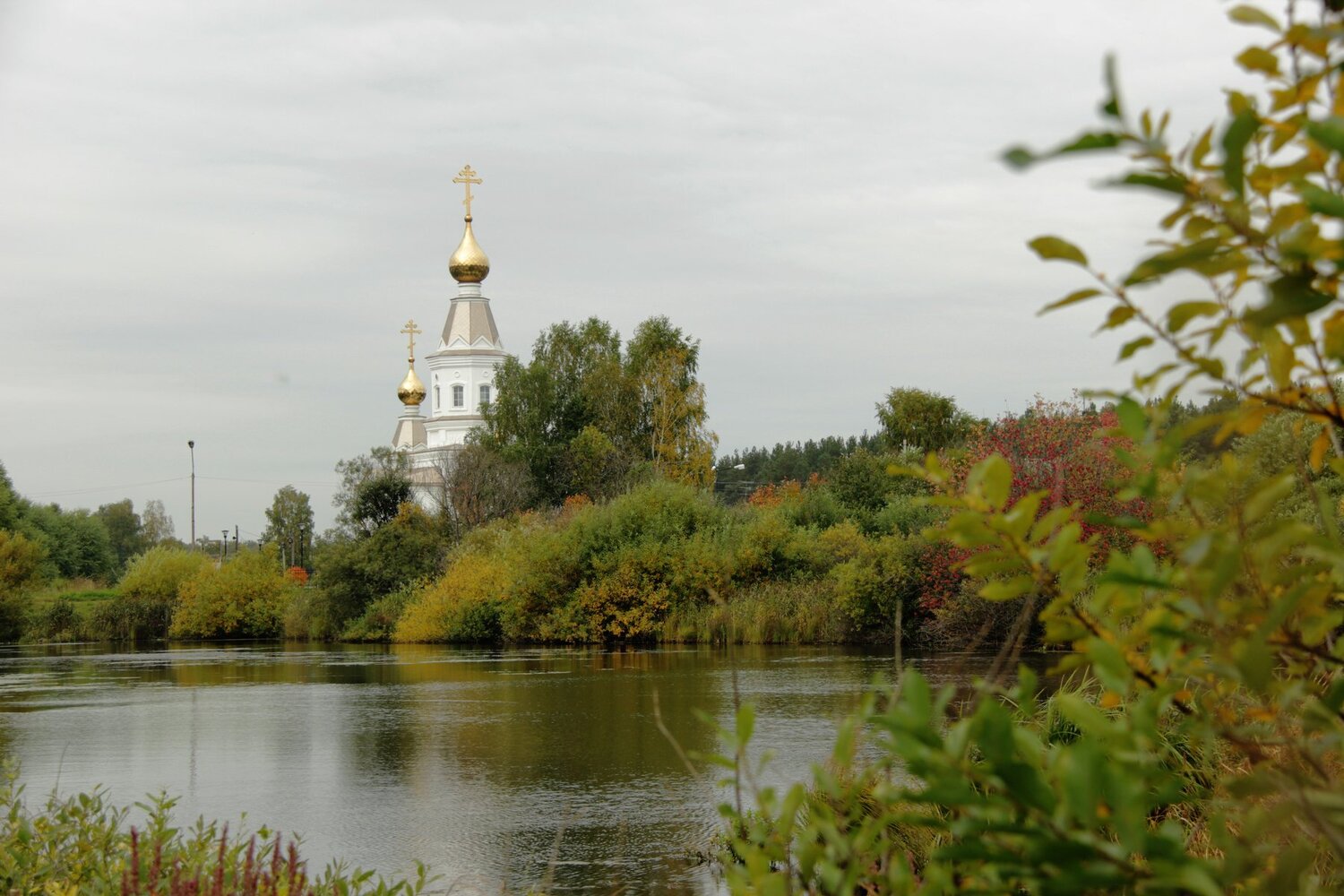 Золотая осень. Сентябрь 2015 год.
