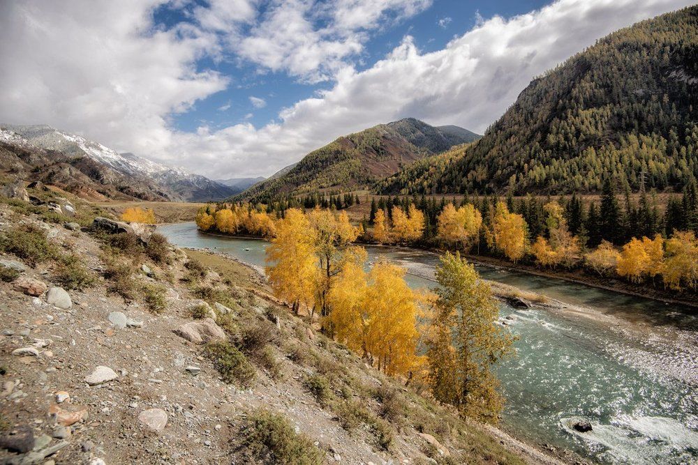 на берегу Чуи