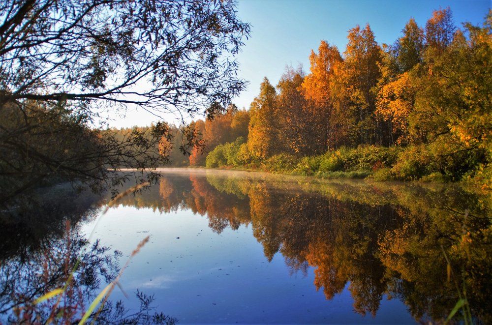 красивая осень