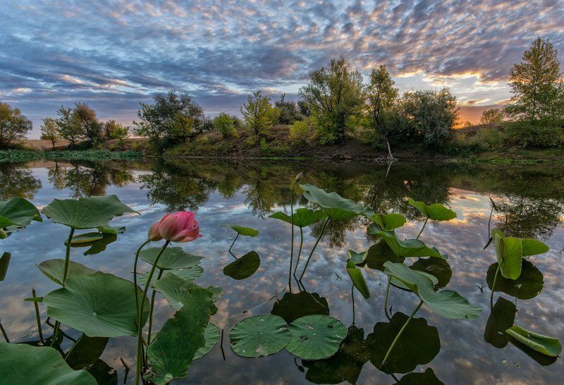 Alexandr Syrovatskii, Russia