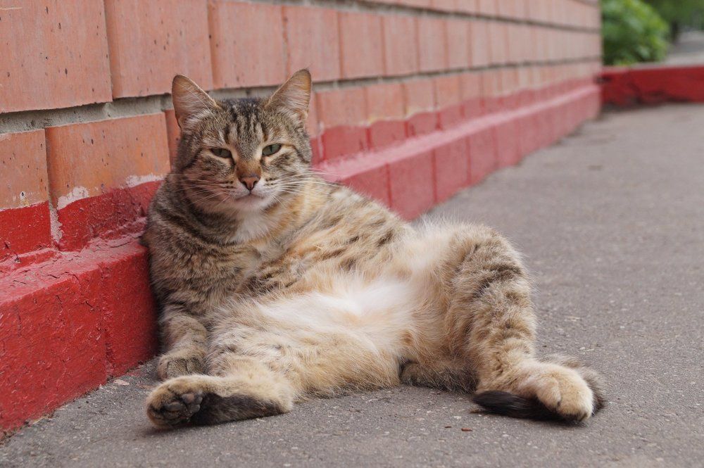 Photograph by Бушевая Алена