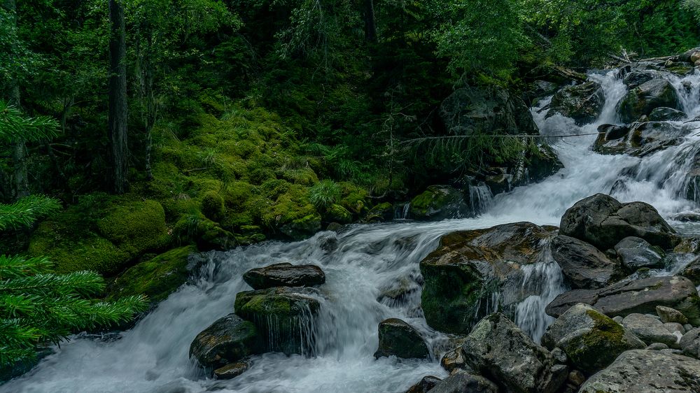 Photograph by Виталий Павлов