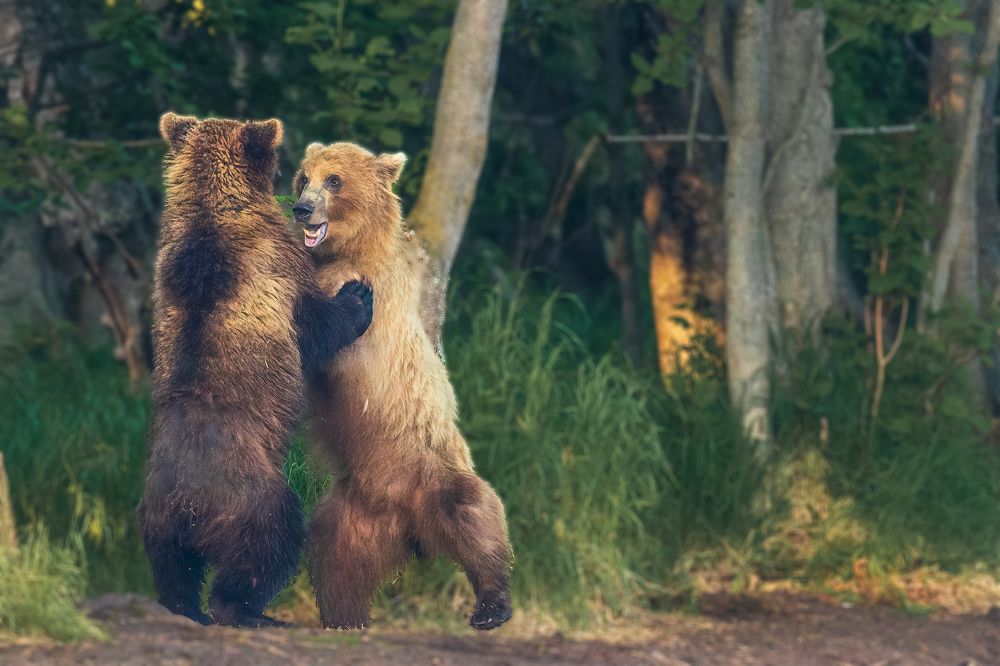 Photograph by Elena Levi