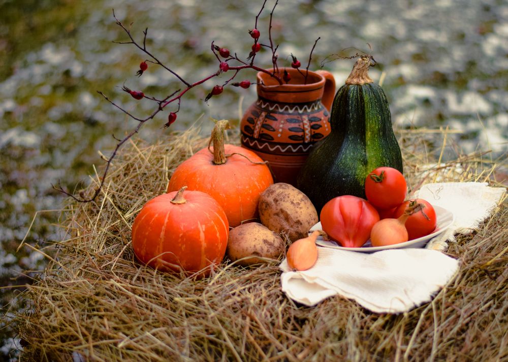 Photograph by Onyx X