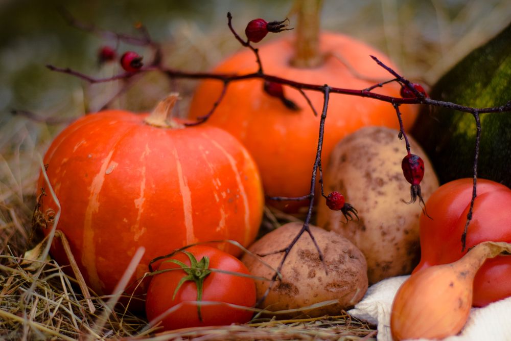 Photograph by Onyx X