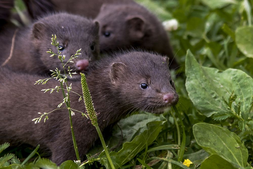 Photograph by Андрей К. Белов