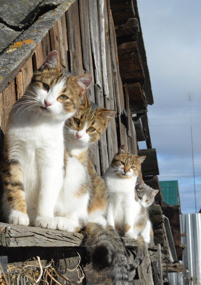 Photograph by Наталья Маслова