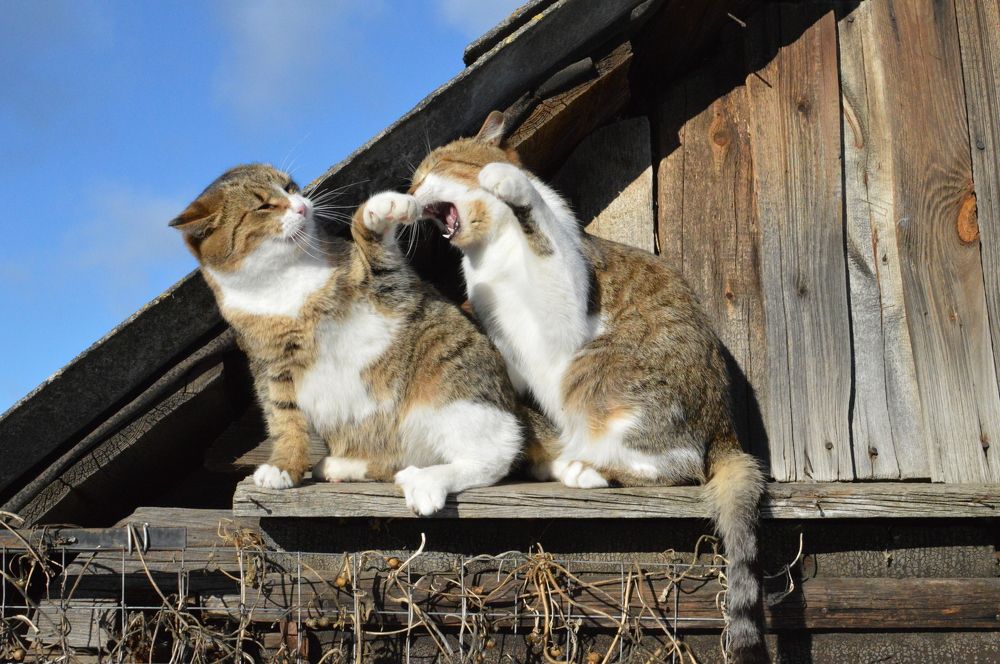 Photograph by Наталья Маслова