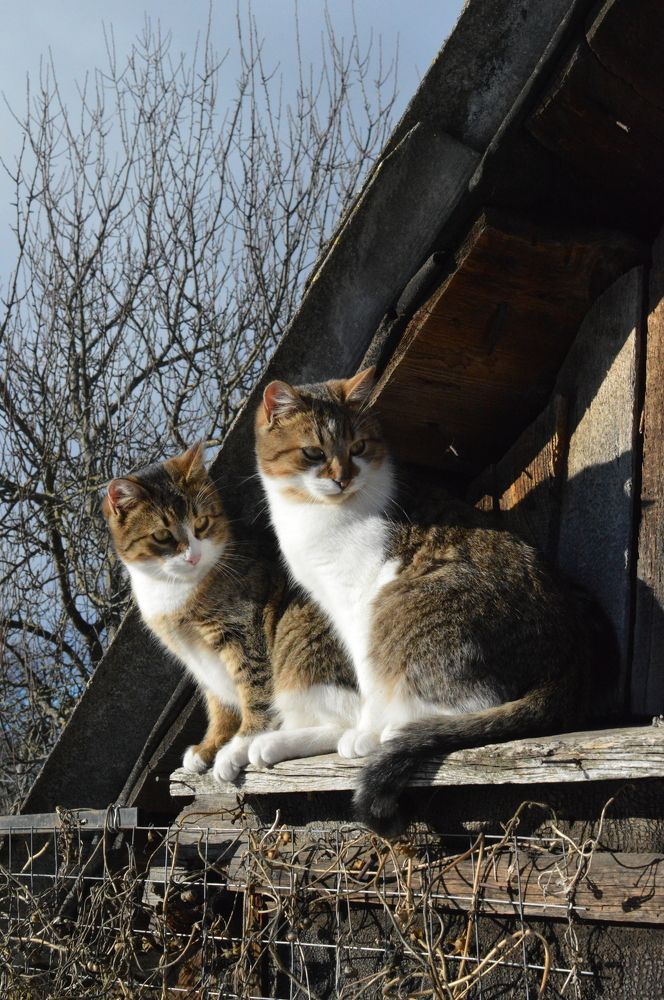 Photograph by Наталья Маслова