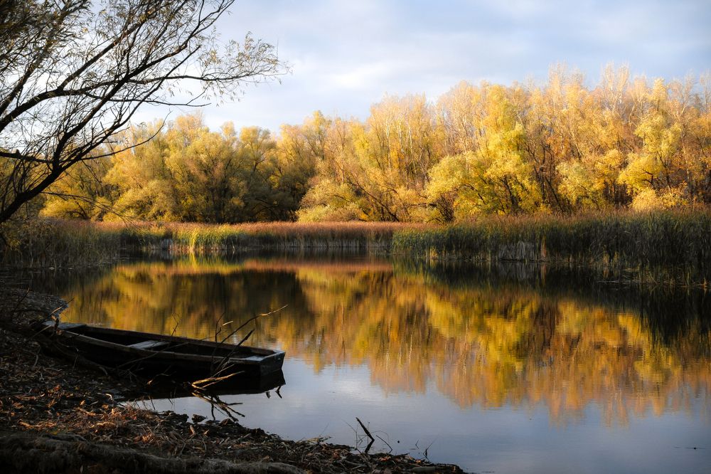 Photograph by Alex Grey