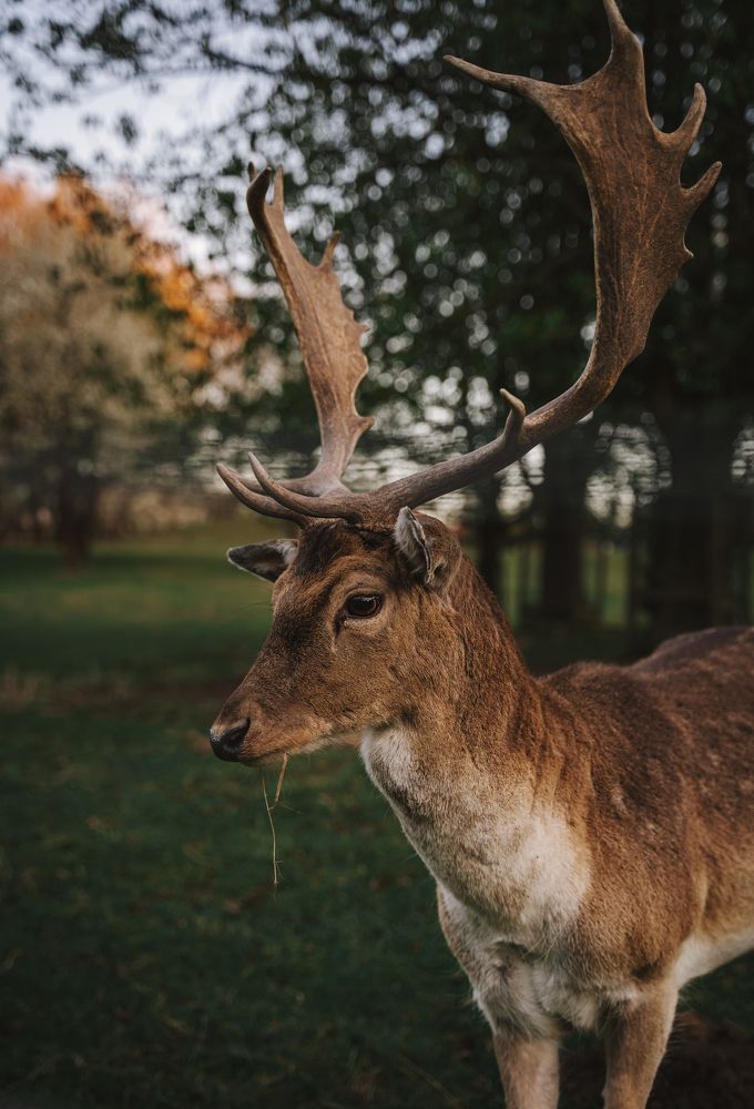 Photograph by Екатерина Карпова