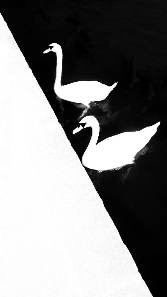 Photograph by Javad Najafi