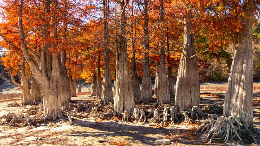 Фотография автора Александр Довганюк