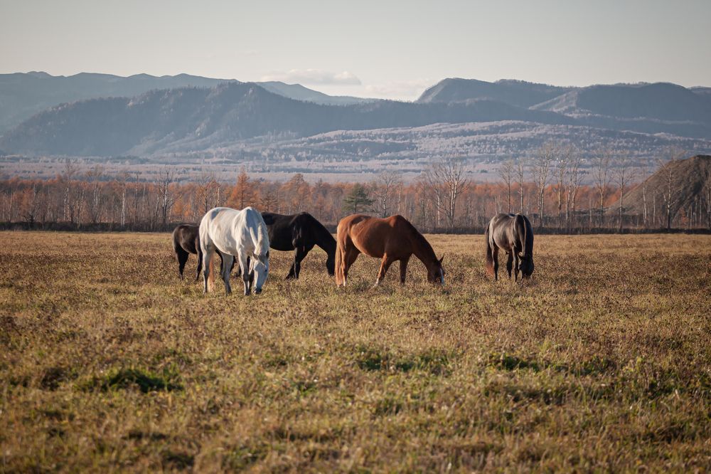 Photograph by Наталья Островцева