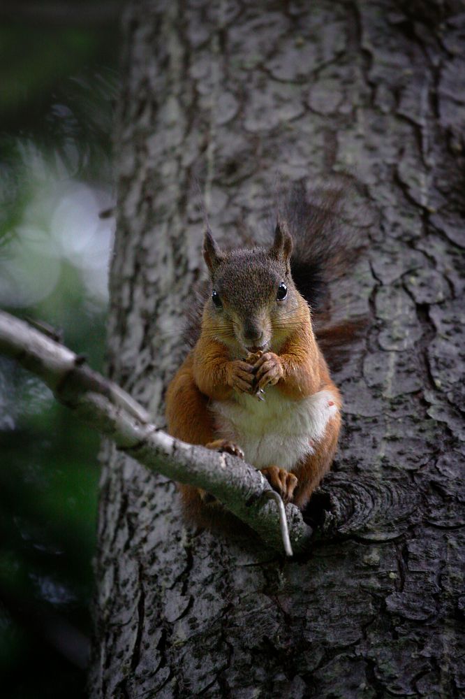 Photograph by Наталья Островцева