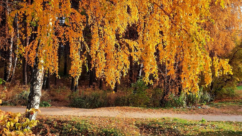 Городские тропы..
