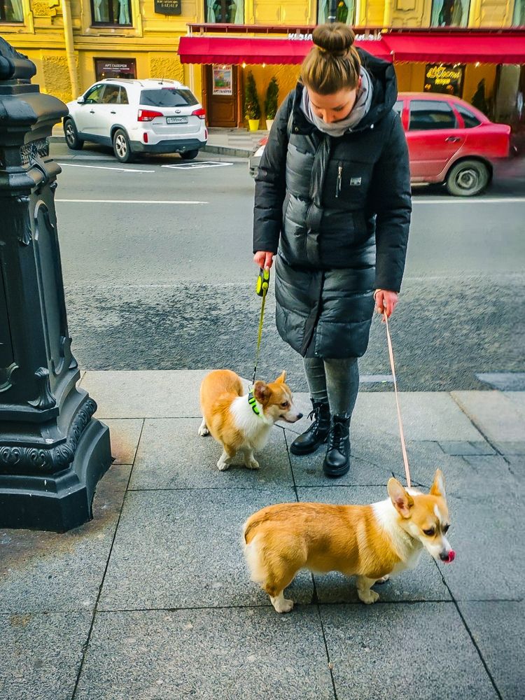 Photograph by Эрика Чечерина