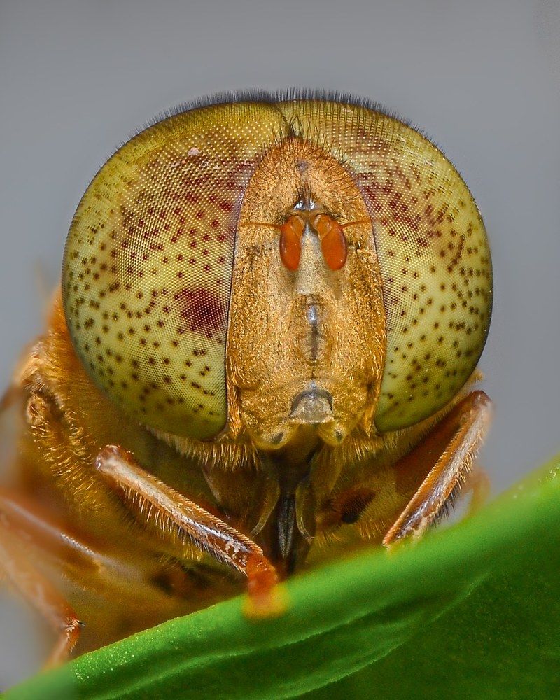 Photograph by Kasun Wickramasinghe