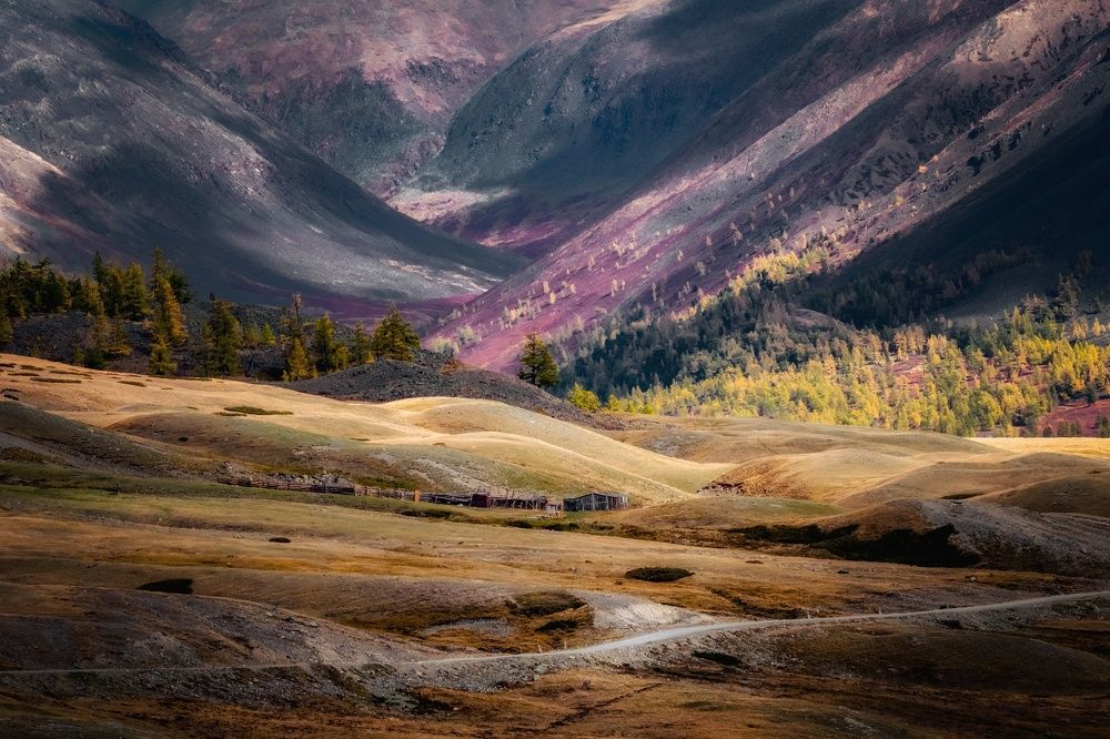 Photograph by Tatiana Meshcheryakova