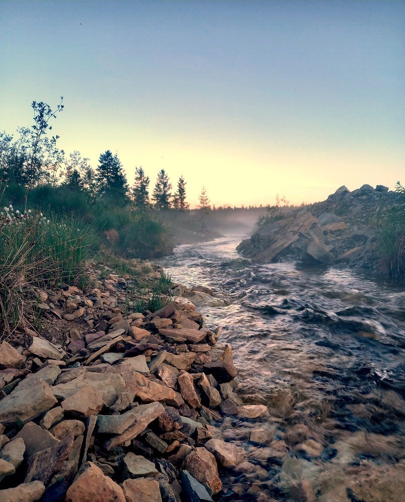Photo #9900753