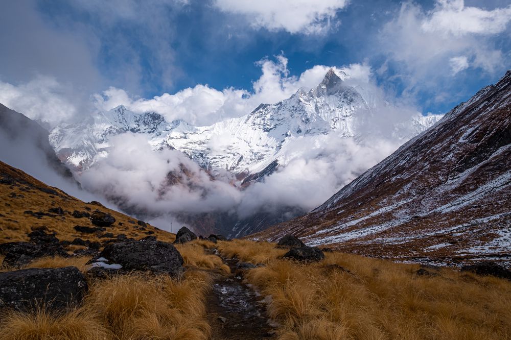 Photograph by Артём Селезнёв