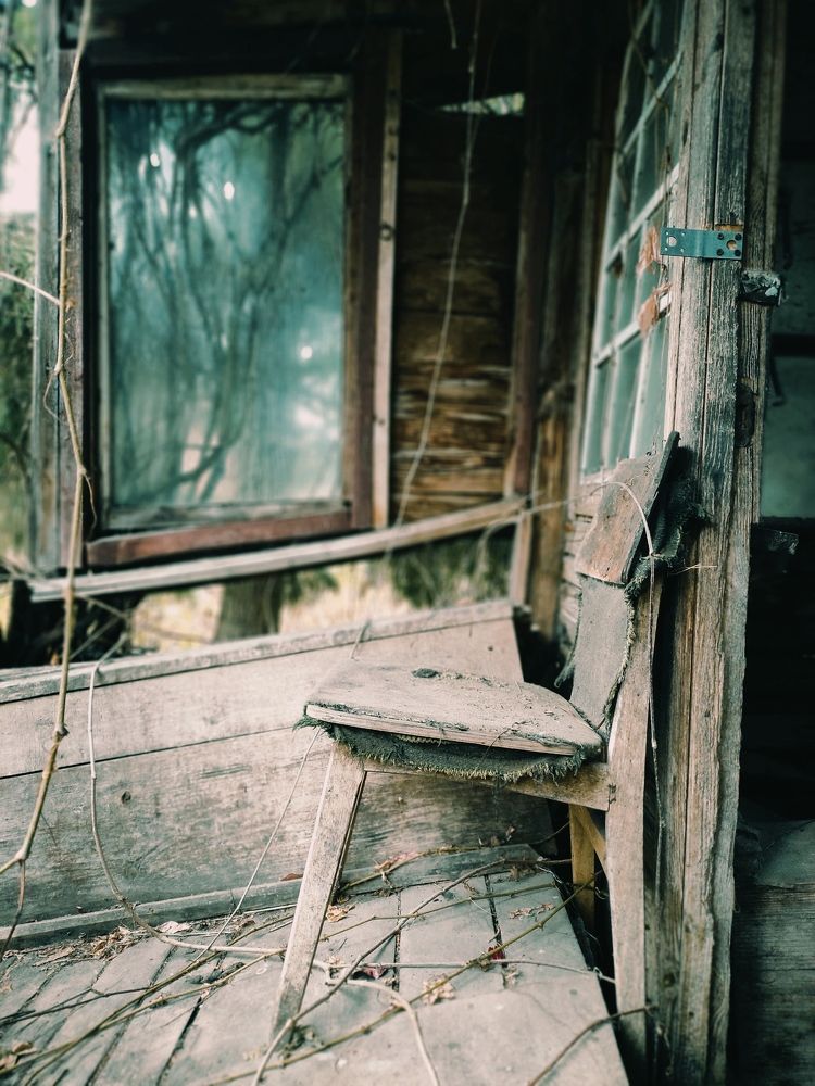 Фотография автора Ирина Гриценко