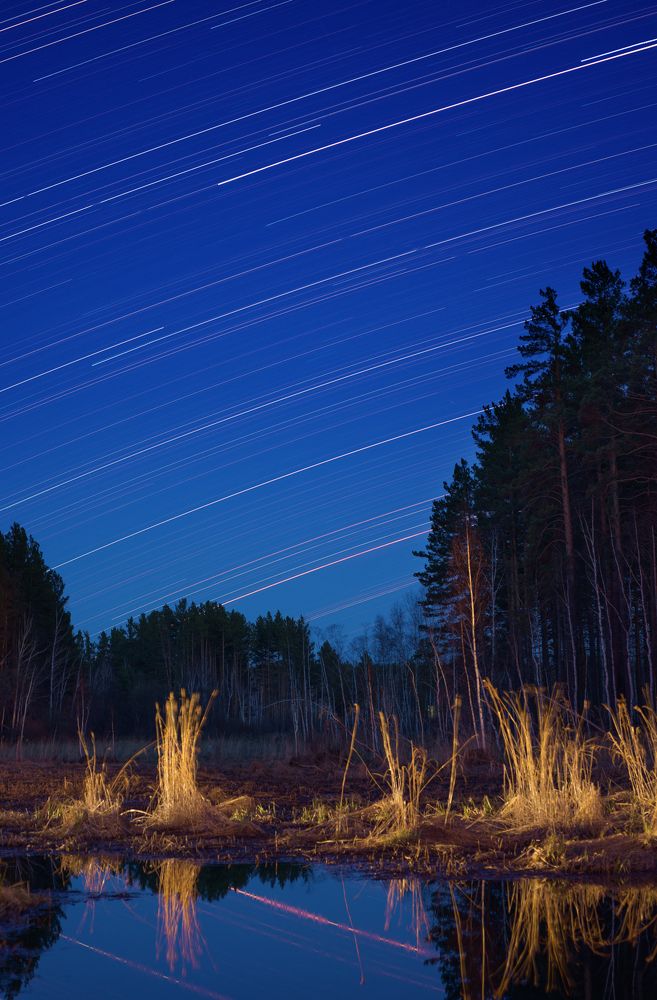 Фотография автора Igor Ferrum