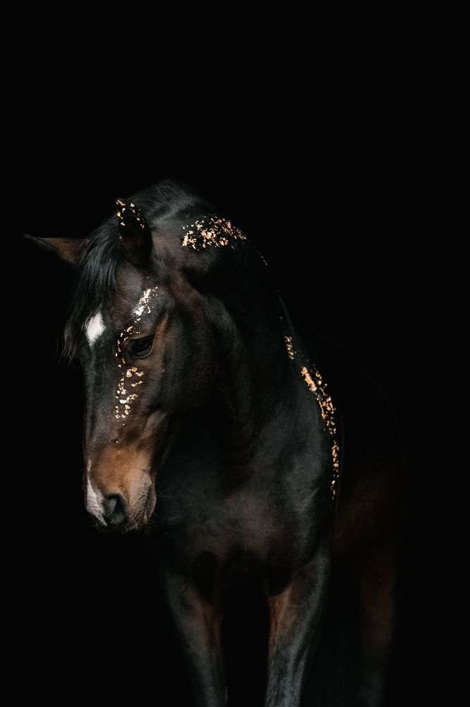 Photograph by Daria Koksharova