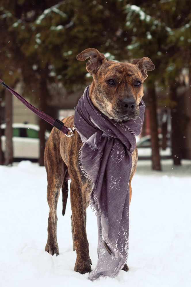 Фотография автора Виталий Дузь