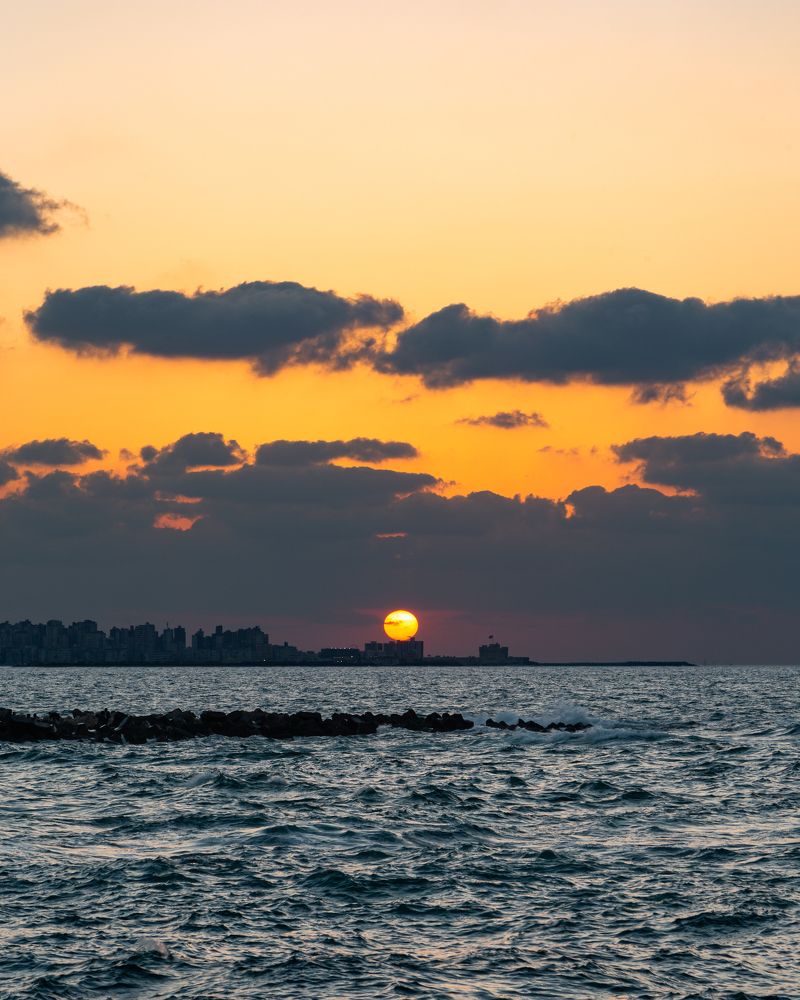 Photograph by Alaa Nour