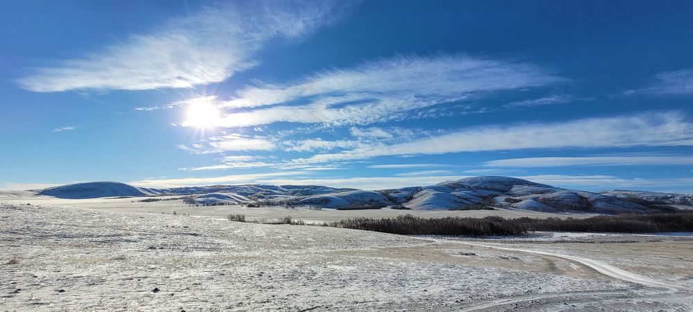 Фотография автора Piyalkin Igor