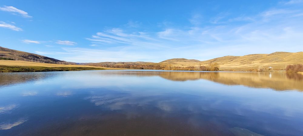 Фотография автора Piyalkin Igor