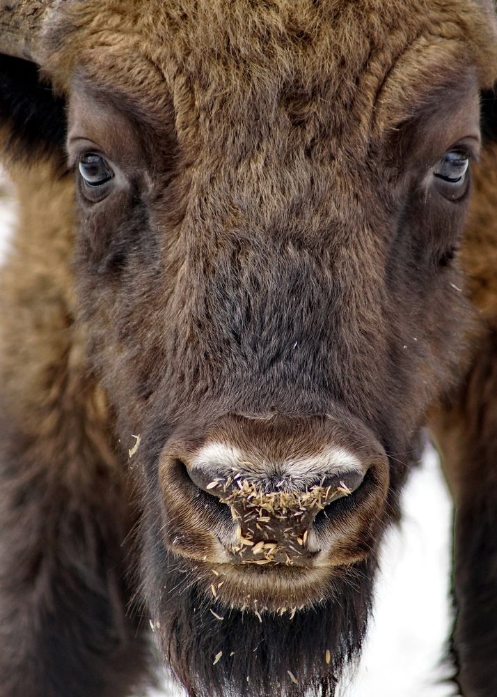 Photograph by Жиляев Евгений