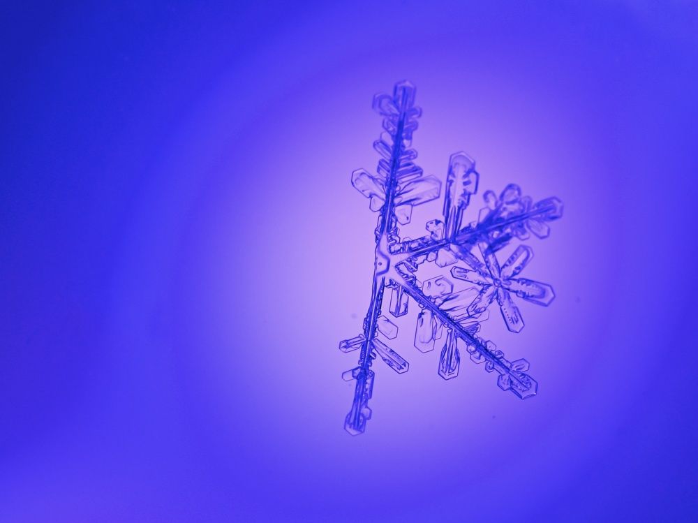 Фотография автора Ola La