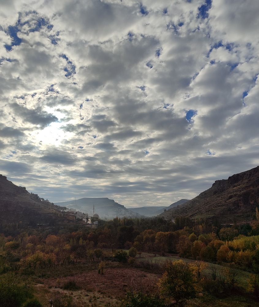 Photo #9901377