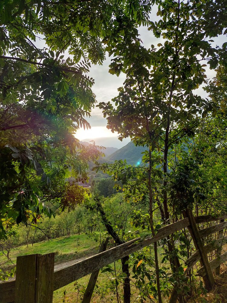 Photograph by Denisa-Mihaela Logoja
